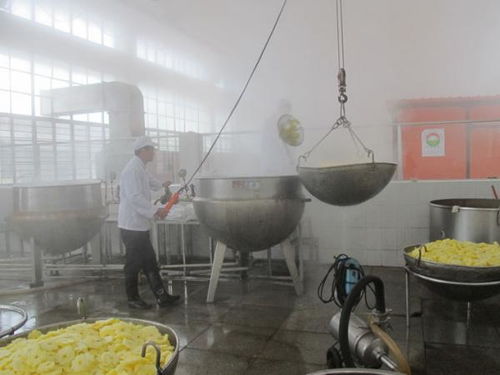 新年新气象，饮料厂与酒店管理共谱开年新篇章